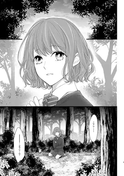 Majutsuforenowāru | 魔術師的鳥籠 3