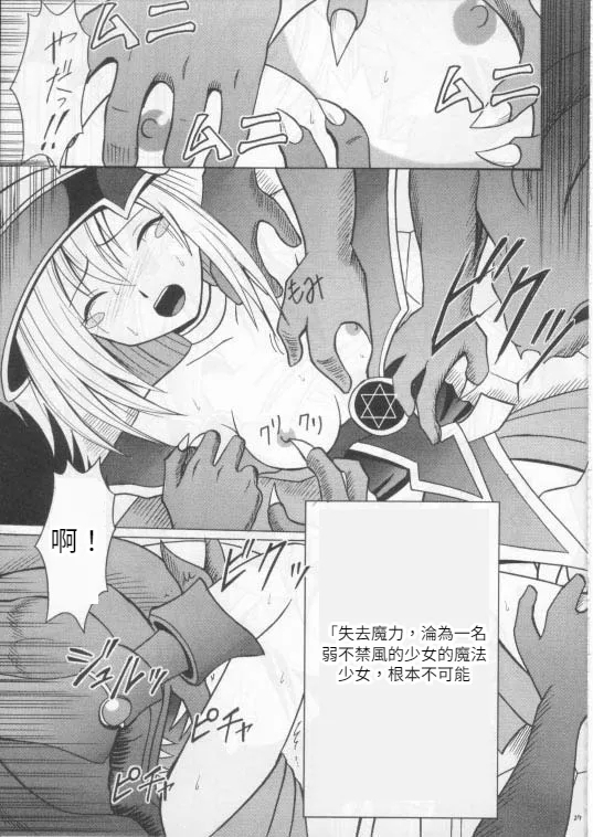 クリムゾン] 翻弄する魔道士 - Page 28