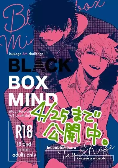 BLACK BOX MIND 1