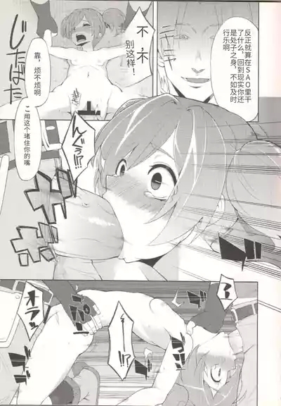 SilicaMy Sweet Silica Memorandum Record 9