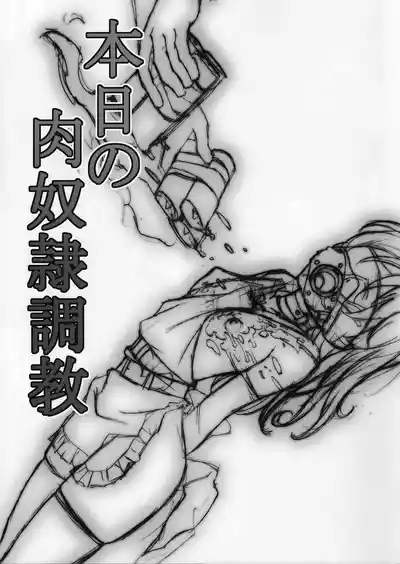 Honjitsu no Nikudorei Choukyou 2