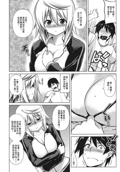 略してIS 4