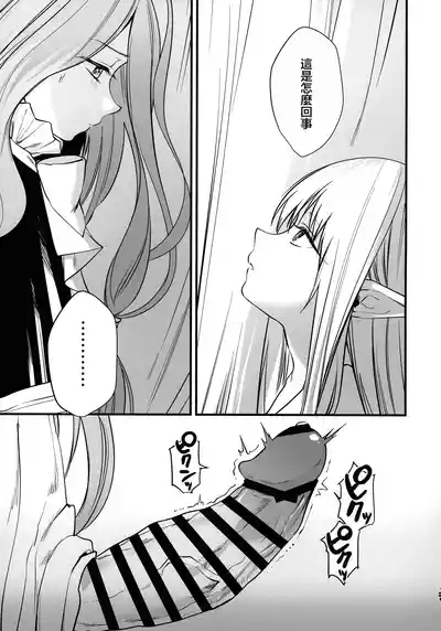 Deshi no Osewa wa Dai Mahoutsukai no Oshigoto 4