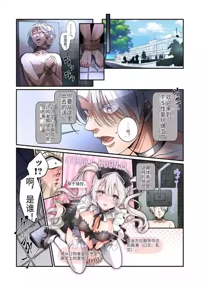 Furyou Musuko no TS Sodatenaoshi Keikaku! 6