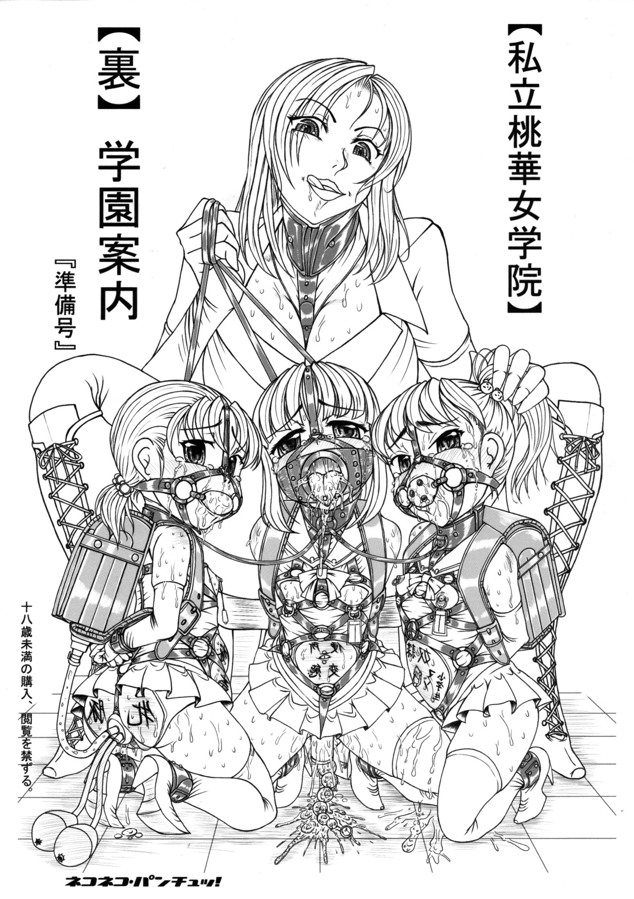 Shiritsu Tooka Jogakuin Ura Gakuen Annai - Page 1