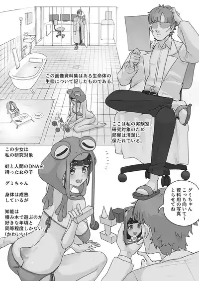 腹透蛙少女 2