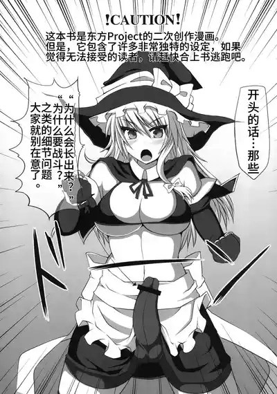 幻想郷フタナリチンポレスリング霊夢VS魔理沙【中文翻译】 4