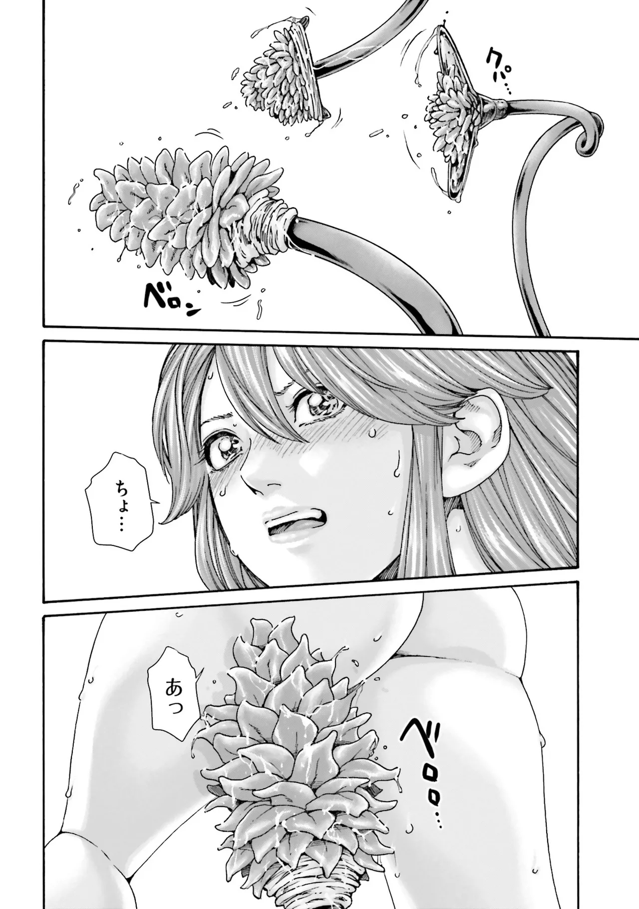 Uterus of the blackgoat Volume. 4 12