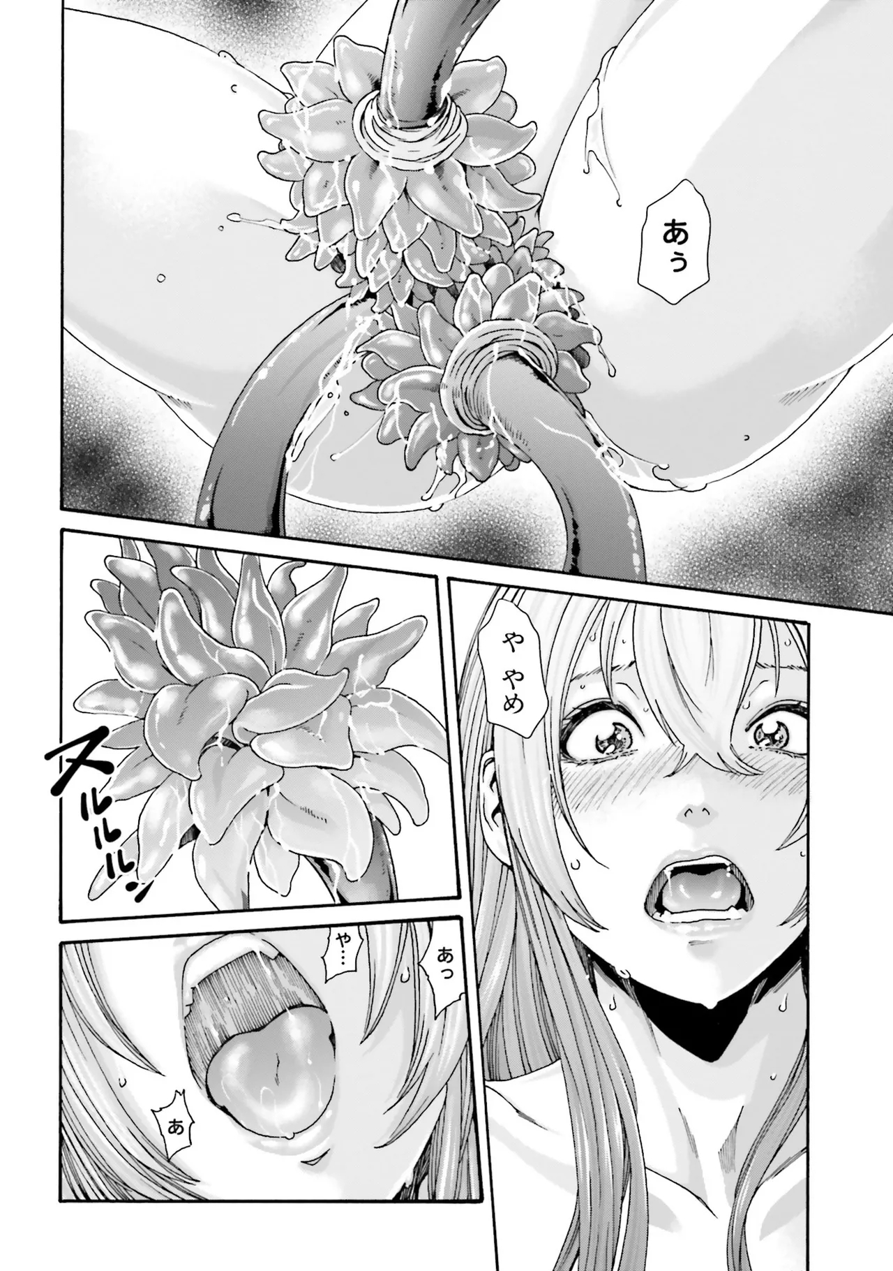 Uterus of the blackgoat Volume. 4 14