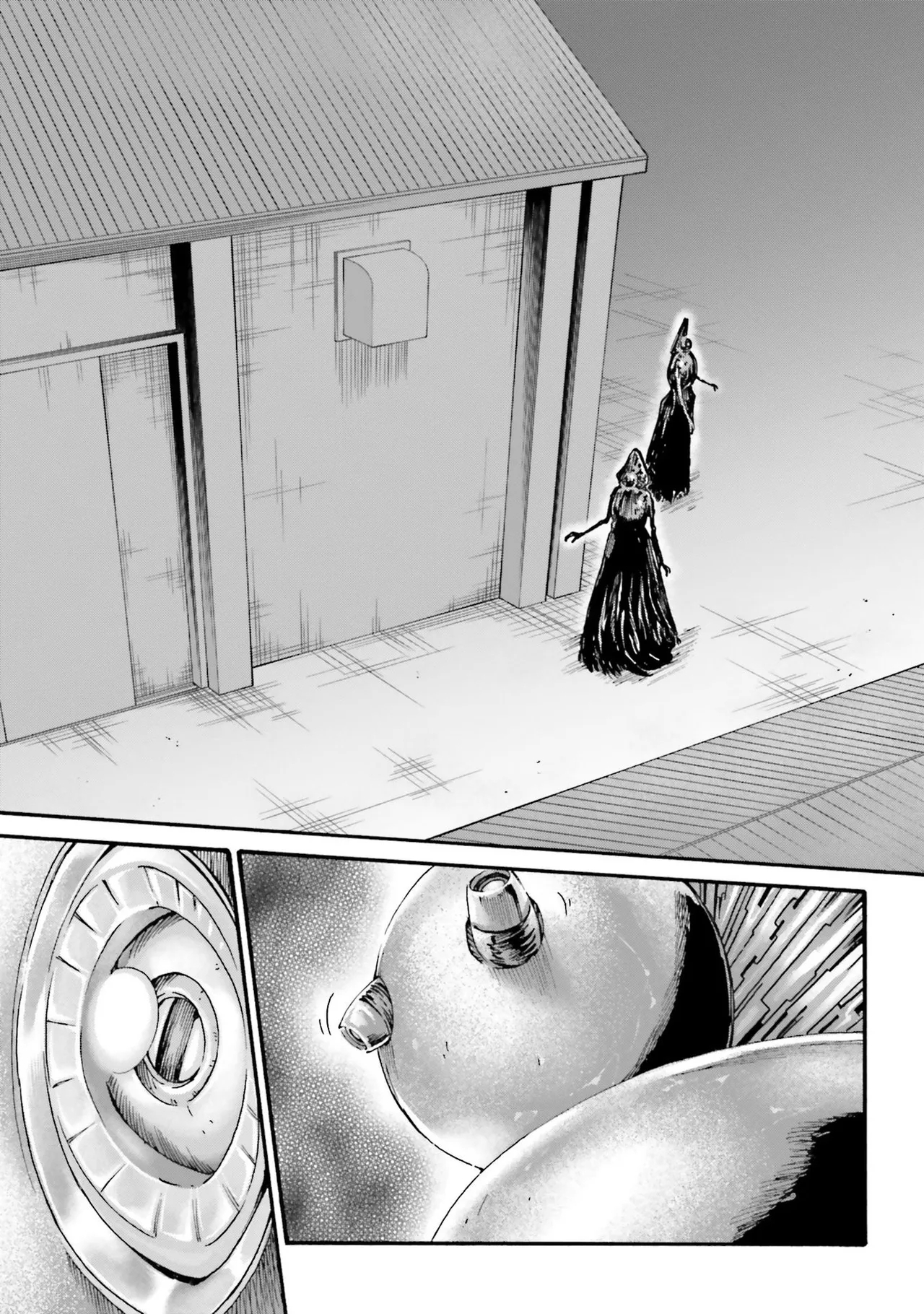 Uterus of the blackgoat Volume. 4 45