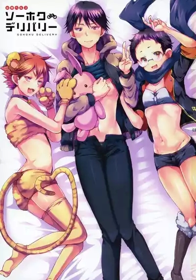 Sohoku Delivery 3