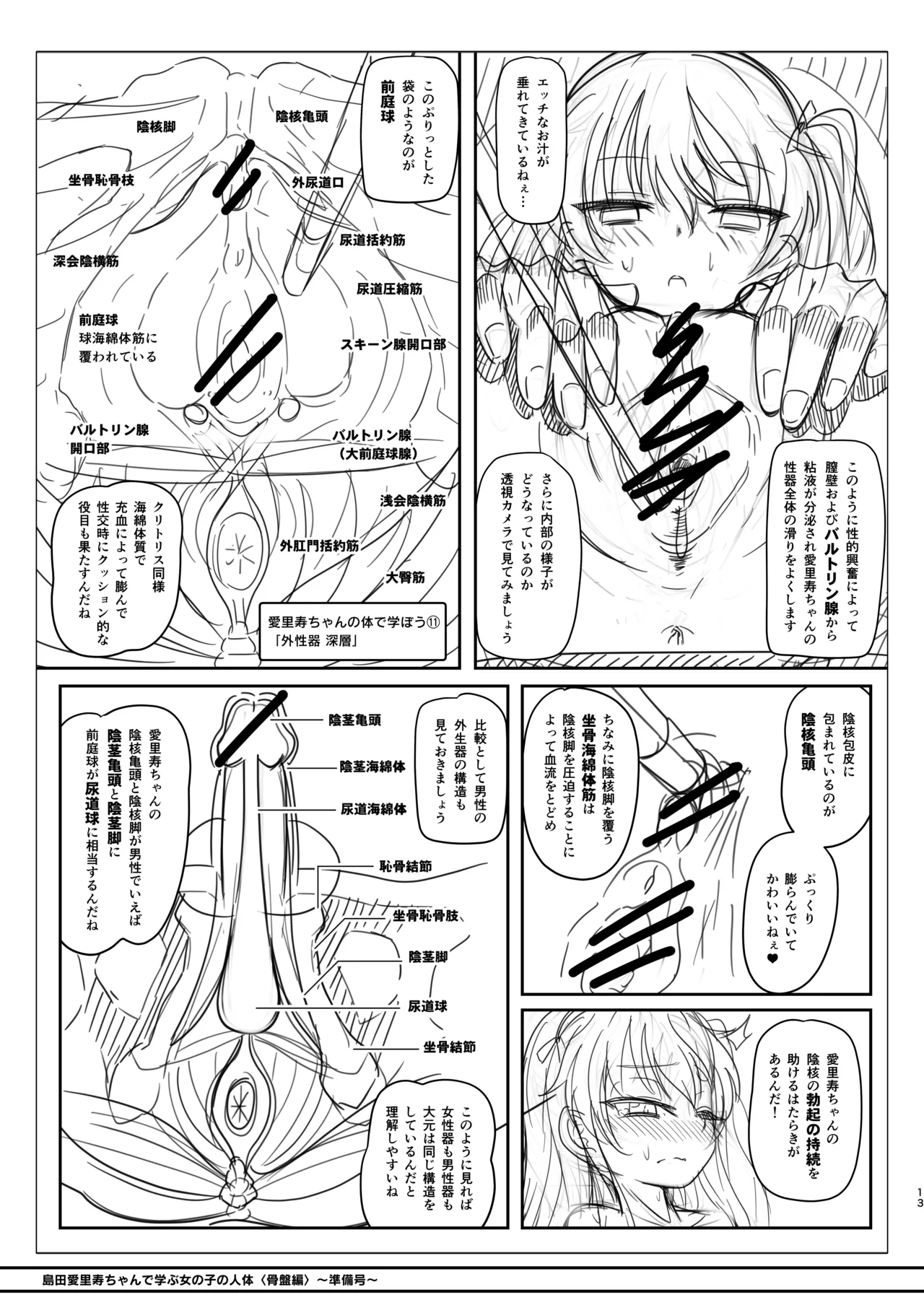 島田愛里寿ちゃんで学ぶ女の子の人体〈骨盤編〉下巻［準備号］ - Page 13