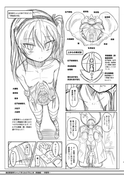 島田愛里寿ちゃんで学ぶ女の子の人体〈骨盤編〉下巻［準備号］ 7