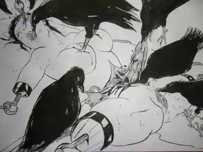 合集 8