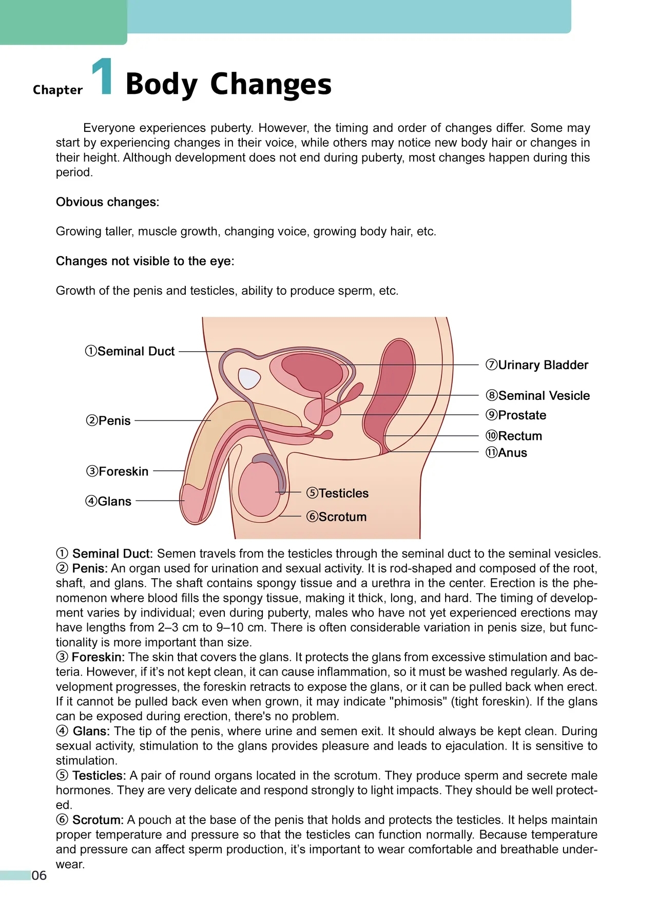 Erotic Sex Education For Boys - Page 7