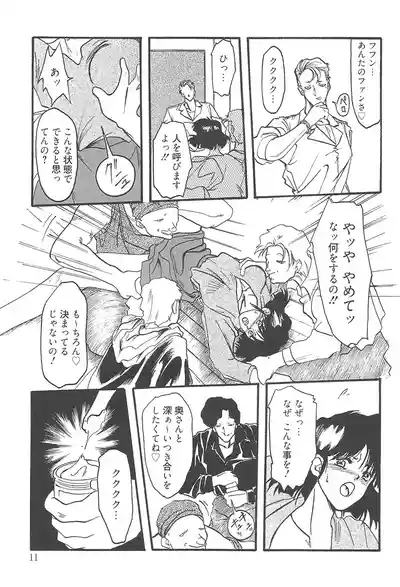 Hiiro no Koku Kanzenban 10