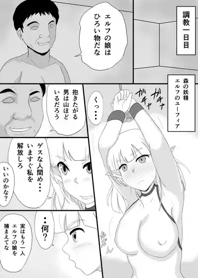 Ginpatsu Kyonyuu Elf o Choukyou shite Kairaku Ochi 2