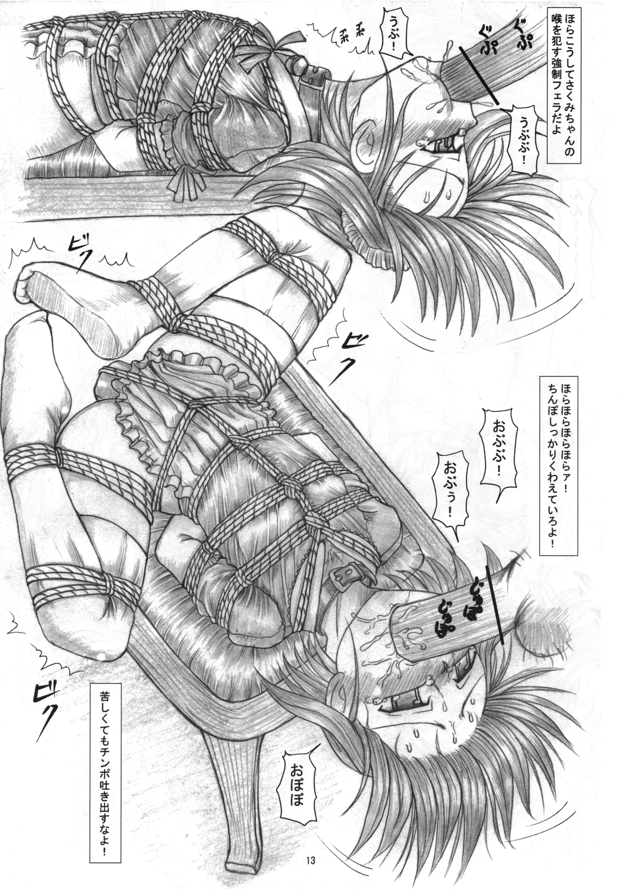Sakumi no Kakuchou Yuugi Soushuuhen - Page 12