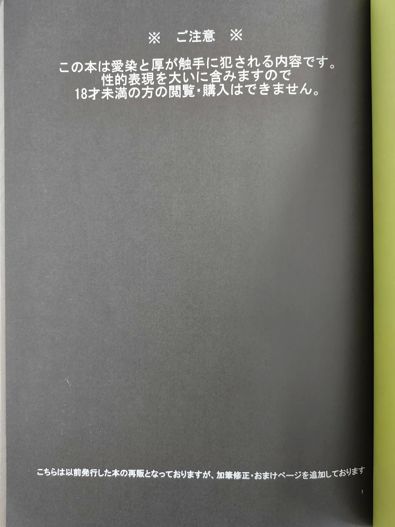 yakō dōchū / nin neko / Lovely complex - Page 2