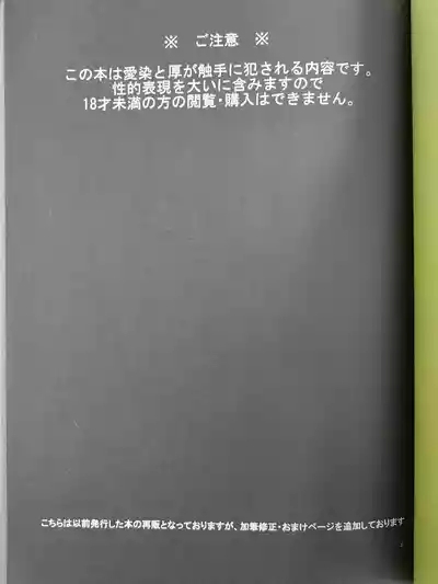 yakō dōchū / nin neko / Lovely complex 2