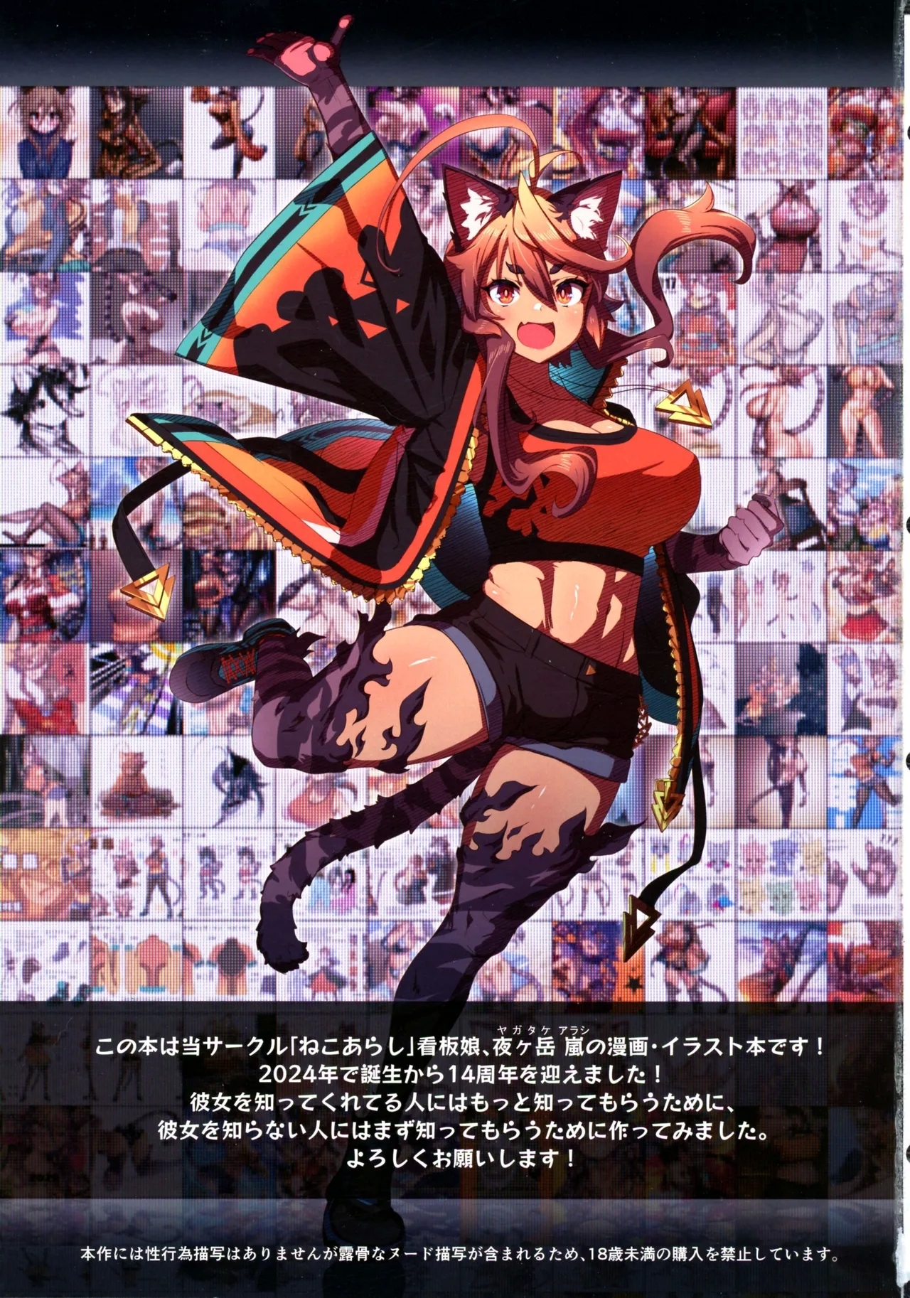 Hare, Tokidoki Arashi - Page 3