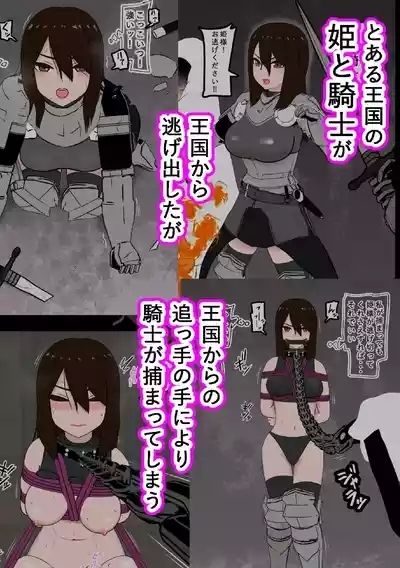 騎士・姫敗北拘束記録 1