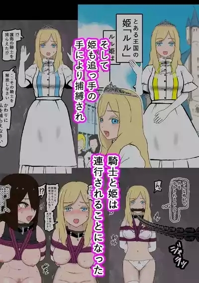 騎士・姫敗北拘束記録 2