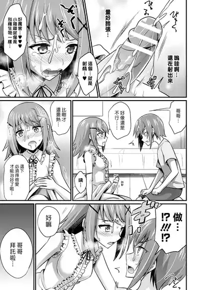 Imouto ga Tsuki Ichi de Chinko ga Haeru Byou Nano da ga | 妹妹得了每個月會長出一次肉棒的病 7