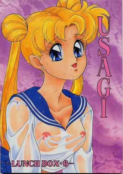 LUNCH BOX 6 USAGi 1