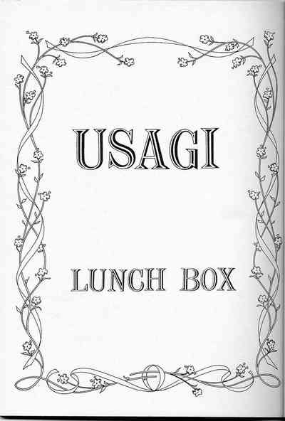LUNCH BOX 6 USAGi 2