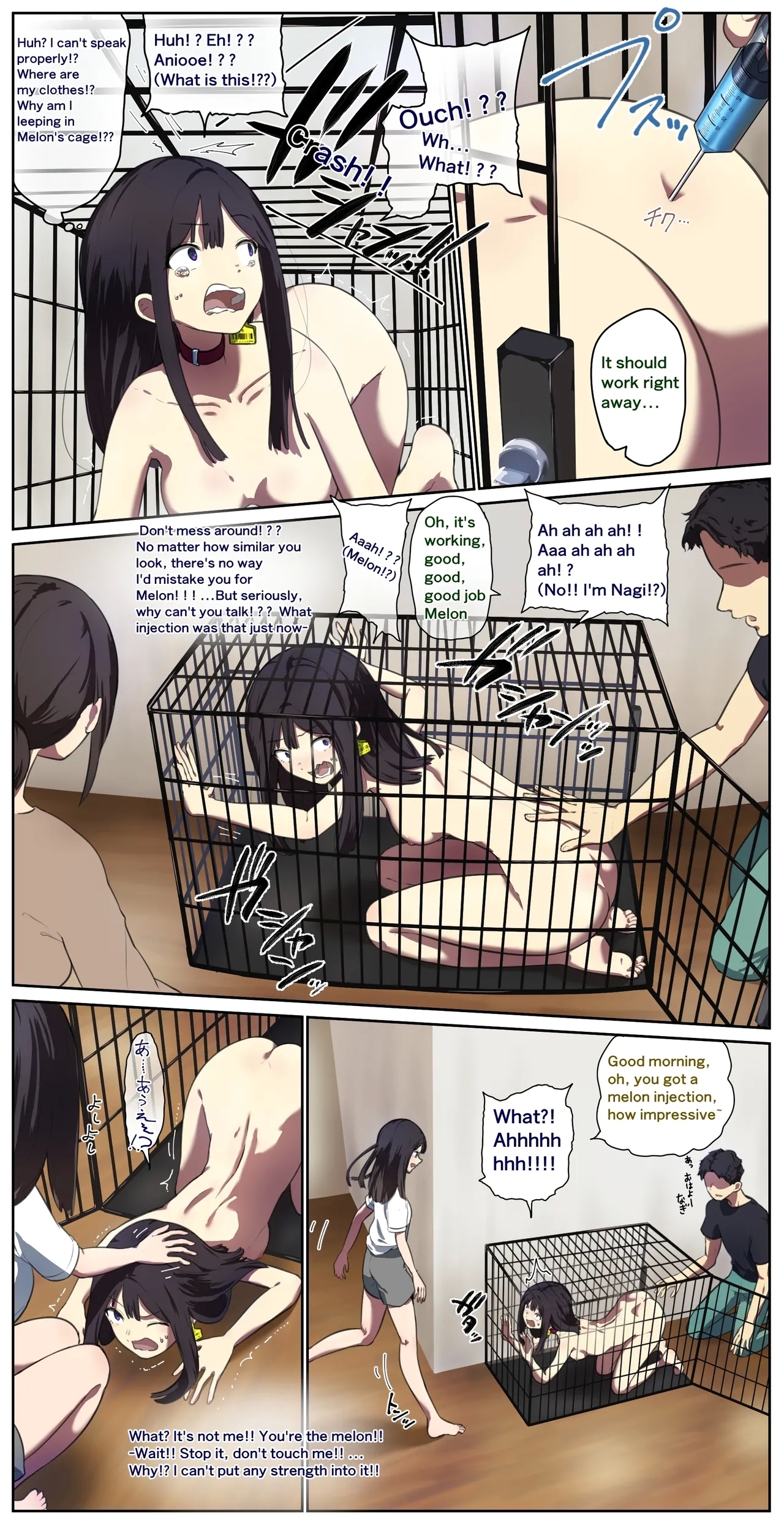 Houses with pets 5