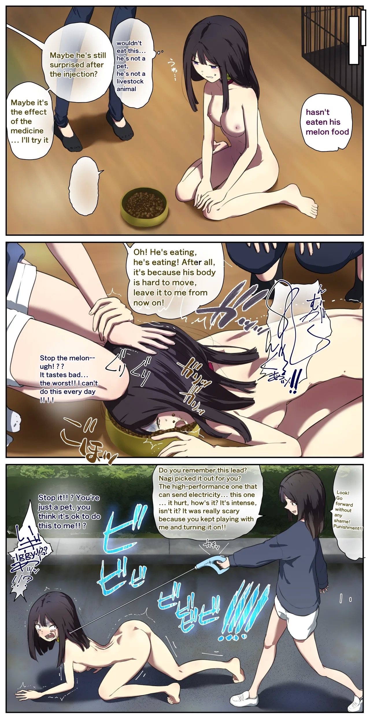 Houses with pets 6