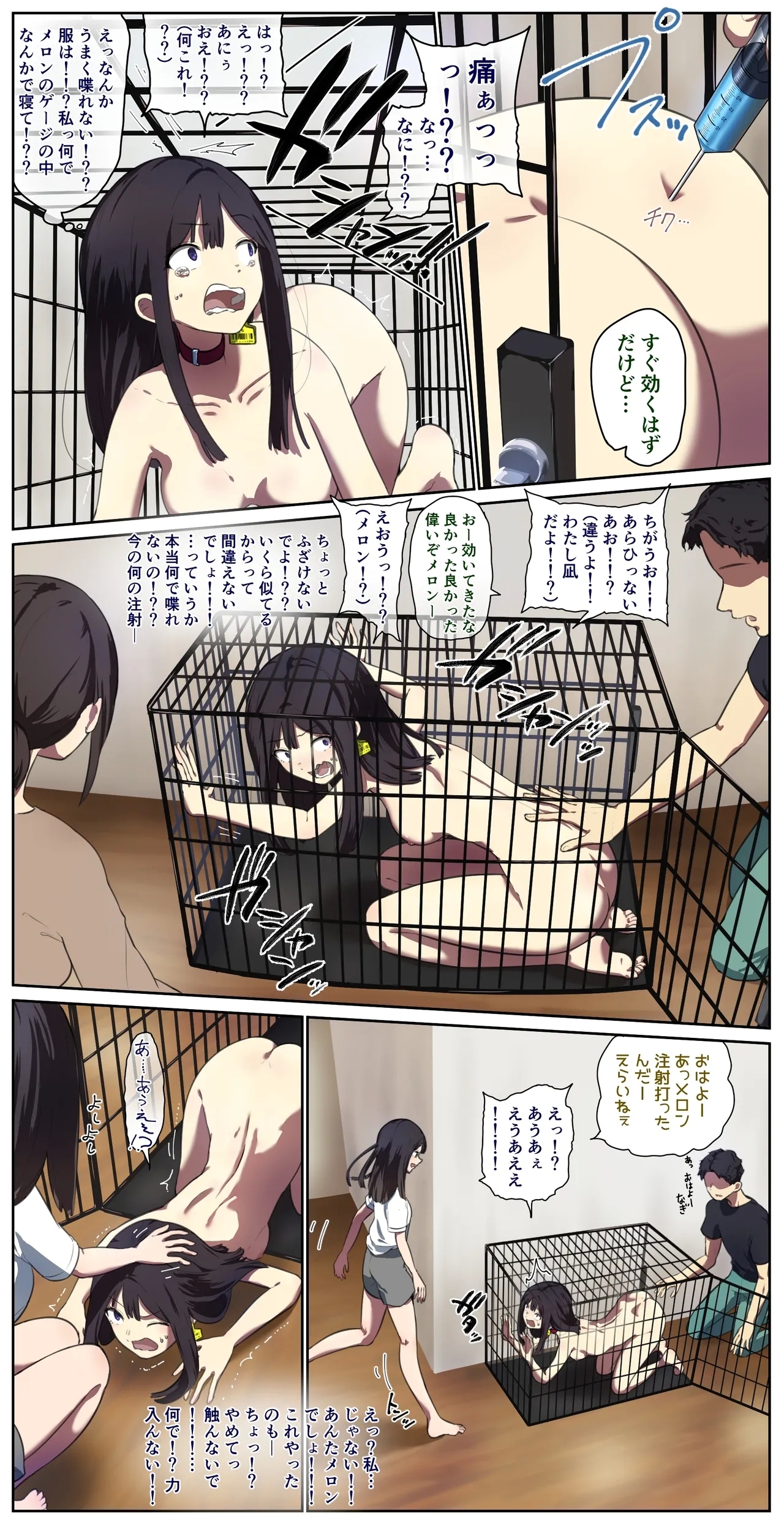 Houses with pets 5