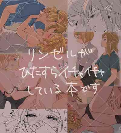 +α [The Legend of Zelda) 5