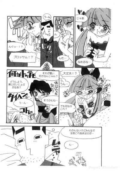 AMERICAN CUTIE! 準備号 5