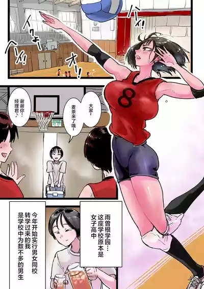 Harem Volley-bu Seishori Manager |女子排球部性处理经理 2