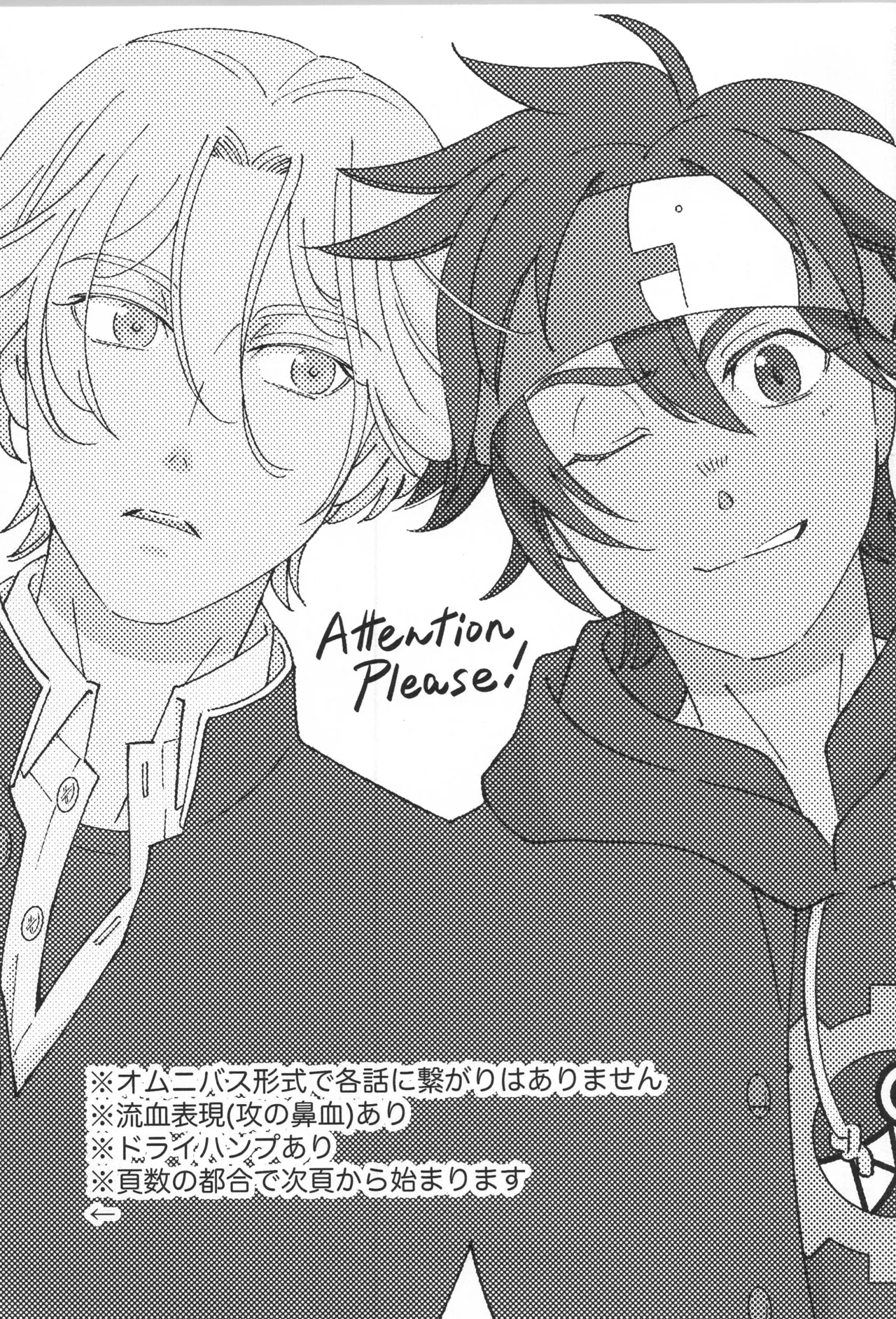 Lenreki Amakara Assortment - Page 2