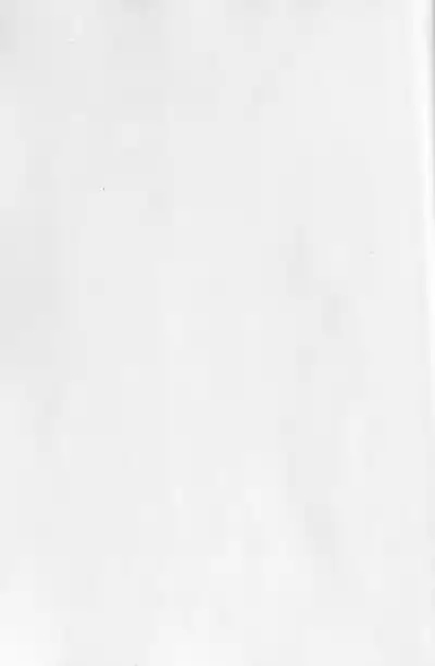 Inu Na Ani To Asobu Hon 3