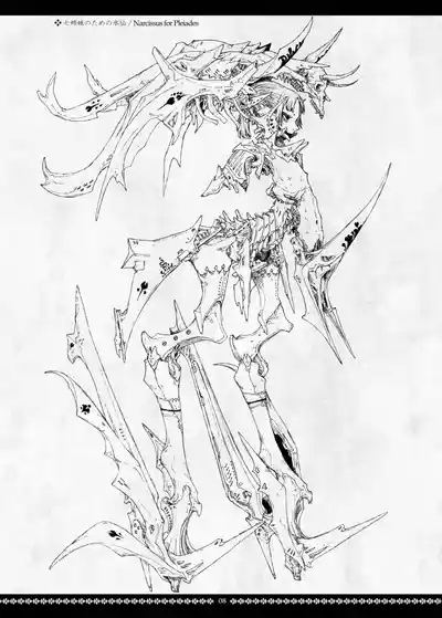 Dismembered Constellation 8