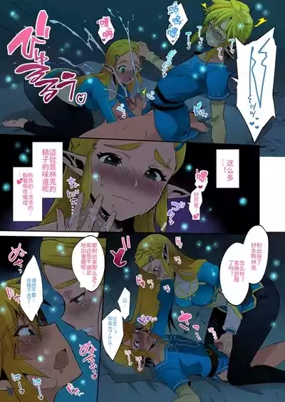 Hyrule Hanei no Tame no Katsudou! 9