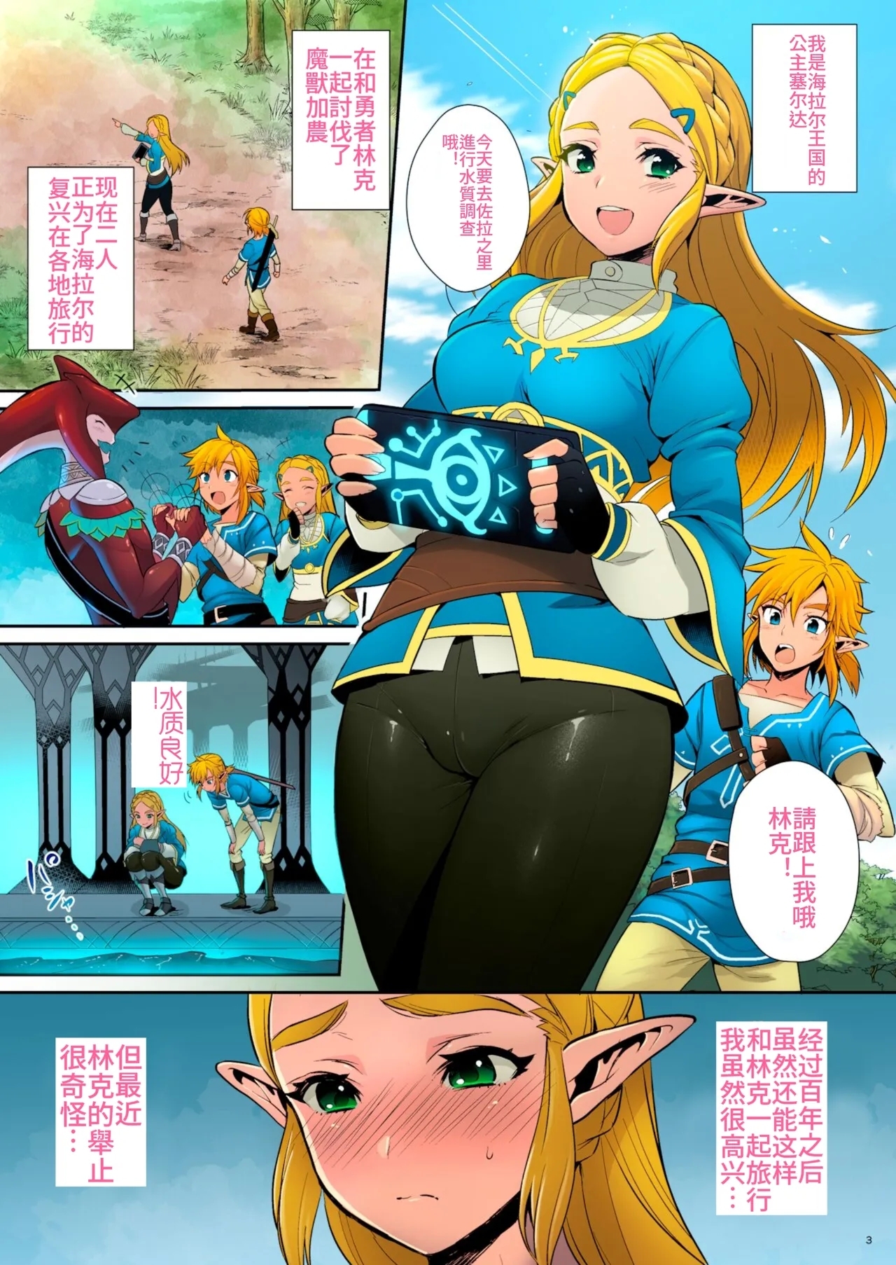 Hyrule Hanei no Tame no Katsudou! - Page 2