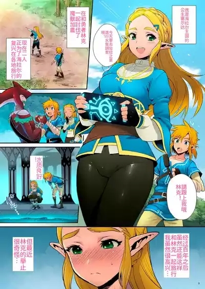 Hyrule Hanei no Tame no Katsudou! 1