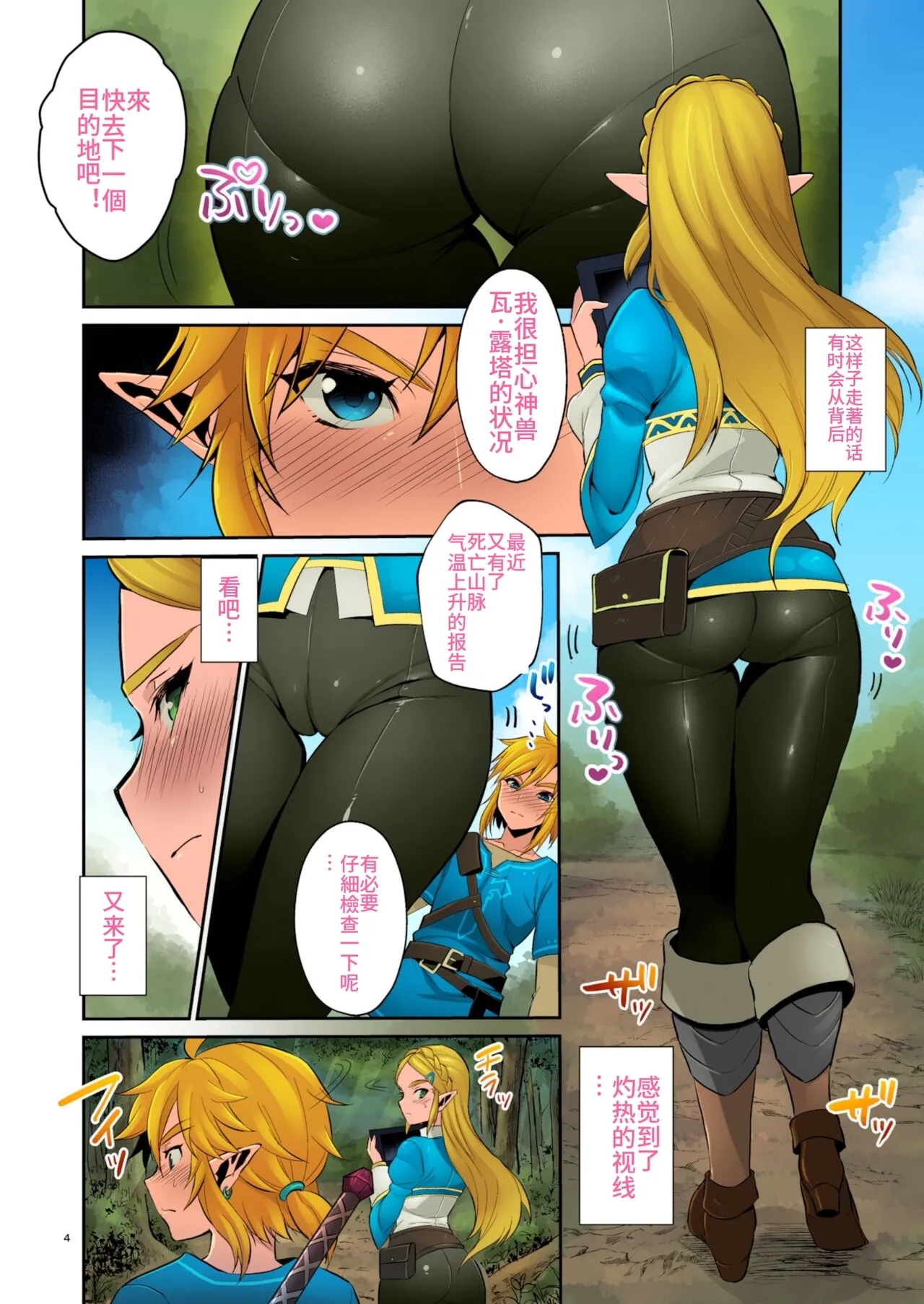 Hyrule Hanei no Tame no Katsudou! - Page 3