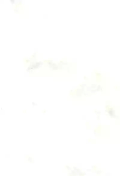 Himegoto〈A-hen〉 4