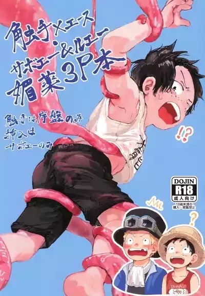 Shokushu × Ace Sabo & Luffy biyaku 3P hon 1