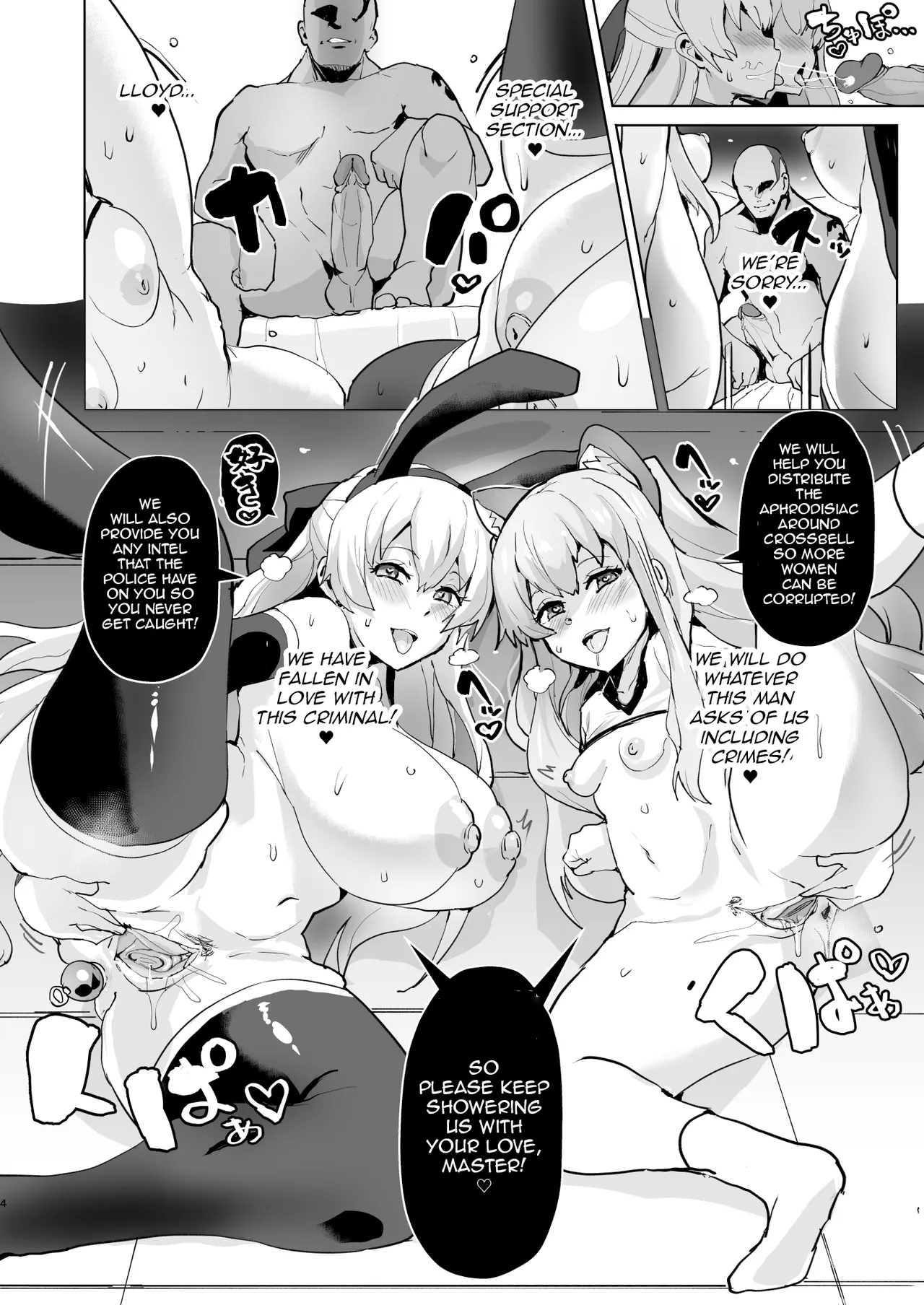 Corruption of the Special Support Section 5