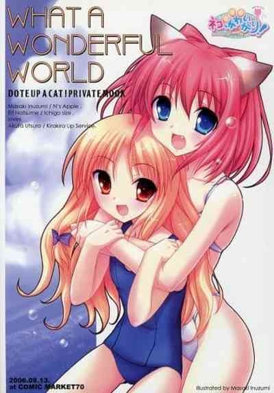 What A Wonderful World 1