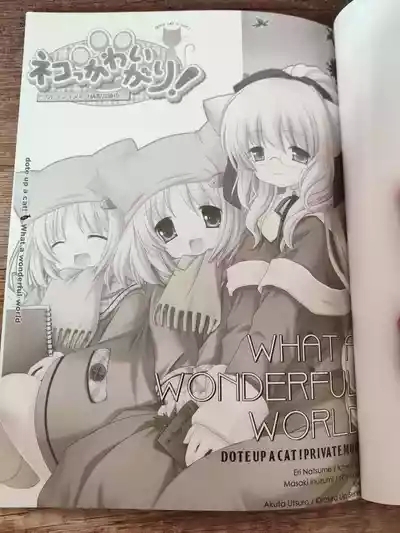 What A Wonderful World 4