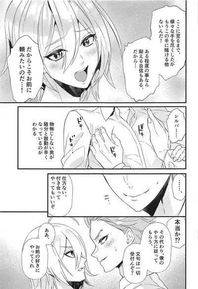 Silver no Himitsu 8
