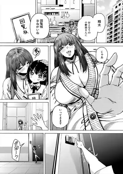 Aunt Shota Mansion Harem 4